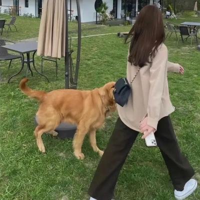 华生第二季
